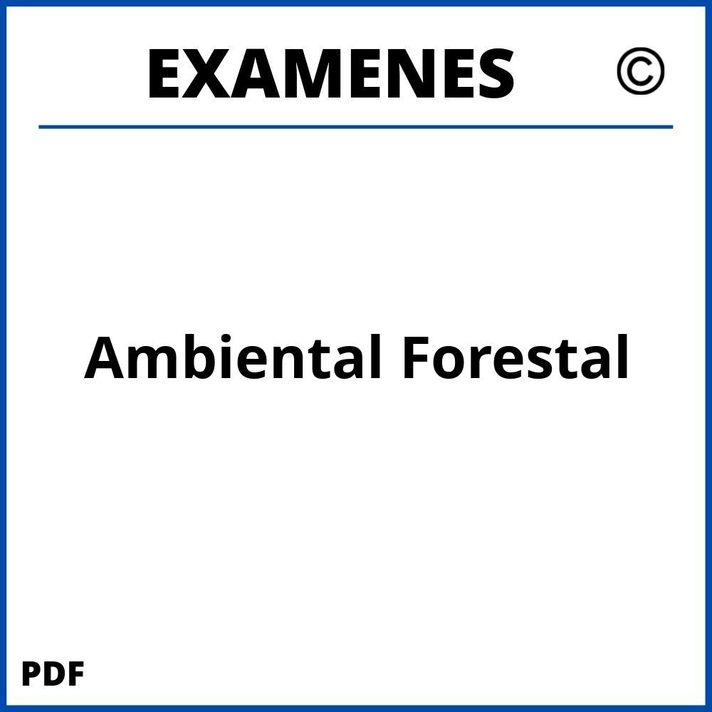 Examenes https://www.wuolah.com/estudios/grados/grado-en-ambiental-forestal/;Ambiental Forestal;ambiental-forestal;ambiental-forestal-pdf;https://examenesuniversidad.com/wp-content/uploads/ambiental-forestal-pdf.jpg;https://examenesuniversidad.com/abrir-ambiental-forestal/