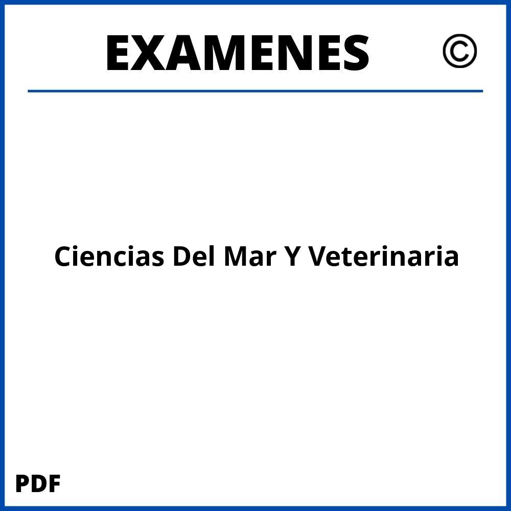 Examenes https://www.wuolah.com/estudios/grados/doble-grado-en-ciencias-del-mar-y-veterinaria/;Ciencias Del Mar Y Veterinaria;ciencias-del-mar-y-veterinaria;ciencias-del-mar-y-veterinaria-pdf;https://examenesuniversidad.com/wp-content/uploads/ciencias-del-mar-y-veterinaria-pdf.jpg;https://examenesuniversidad.com/abrir-ciencias-del-mar-y-veterinaria/