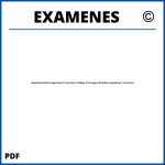 Examenes Espanol Estudios Linguisticos Y Literarios Y Gallego Y Portugues Estudios Linguisticos Y Literarios