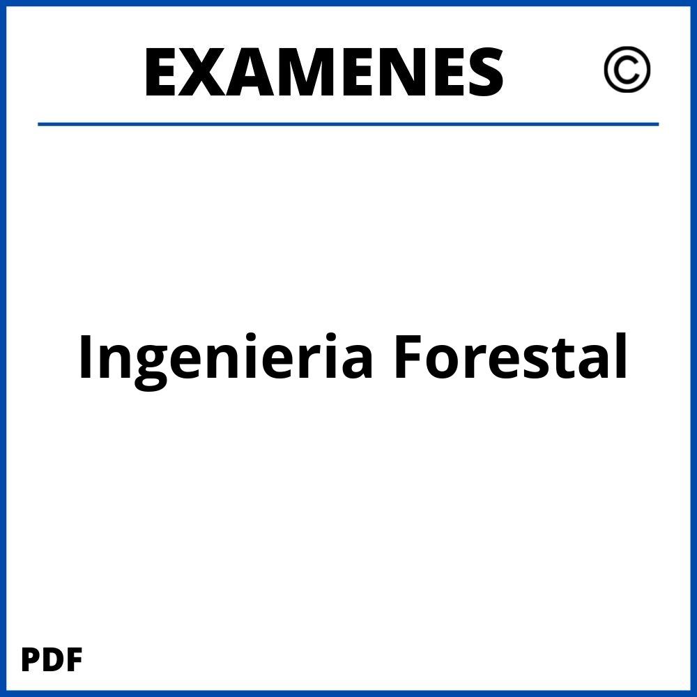 Examenes https://www.wuolah.com/estudios/grados/grado-en-ingenieria-forestal/;Ingenieria Forestal;ingenieria-forestal;ingenieria-forestal-pdf;https://examenesuniversidad.com/wp-content/uploads/ingenieria-forestal-pdf.jpg;https://examenesuniversidad.com/abrir-ingenieria-forestal/