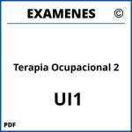 Examenes Terapia Ocupacional 2 UI1