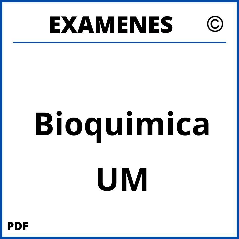 Examenes UM Universidad de Murcia