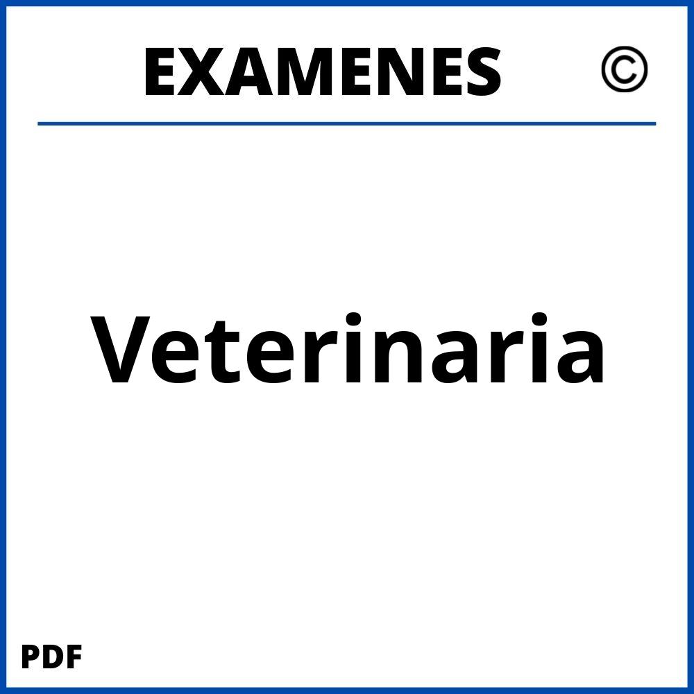 Examenes https://www.wuolah.com/estudios/grados/grado-en-veterinaria/;Veterinaria;veterinaria;veterinaria-pdf;https://examenesuniversidad.com/wp-content/uploads/veterinaria-pdf.jpg;https://examenesuniversidad.com/abrir-veterinaria/